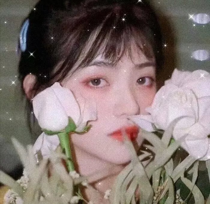诺言的夏天